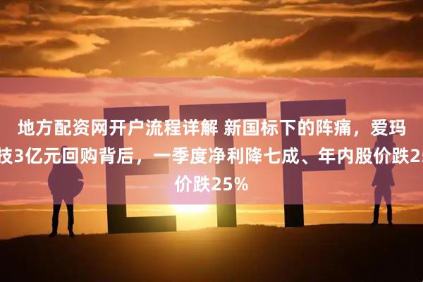 地方配资网开户流程详解 新国标下的阵痛，爱玛科技3亿元回购背后，一季度净利降七成、年内股价跌25%