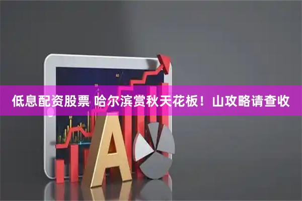 低息配资股票 哈尔滨赏秋天花板！山攻略请查收